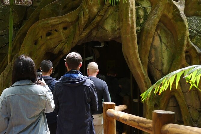 Daytime Scenic Rim Glow Worm Tour + Hop on Hop off Bus - Why the glow worm caves are worth your morning