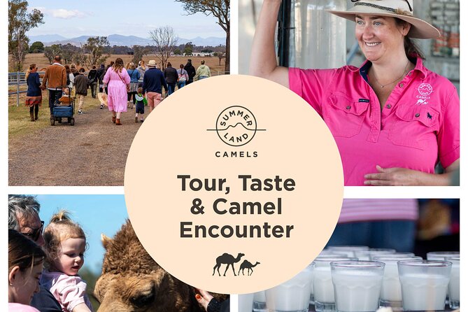 Daytime Scenic Rim Glow Worm Tour + Hop on Hop off Bus - Four hours to choose your Tamborine Mountain afternoon