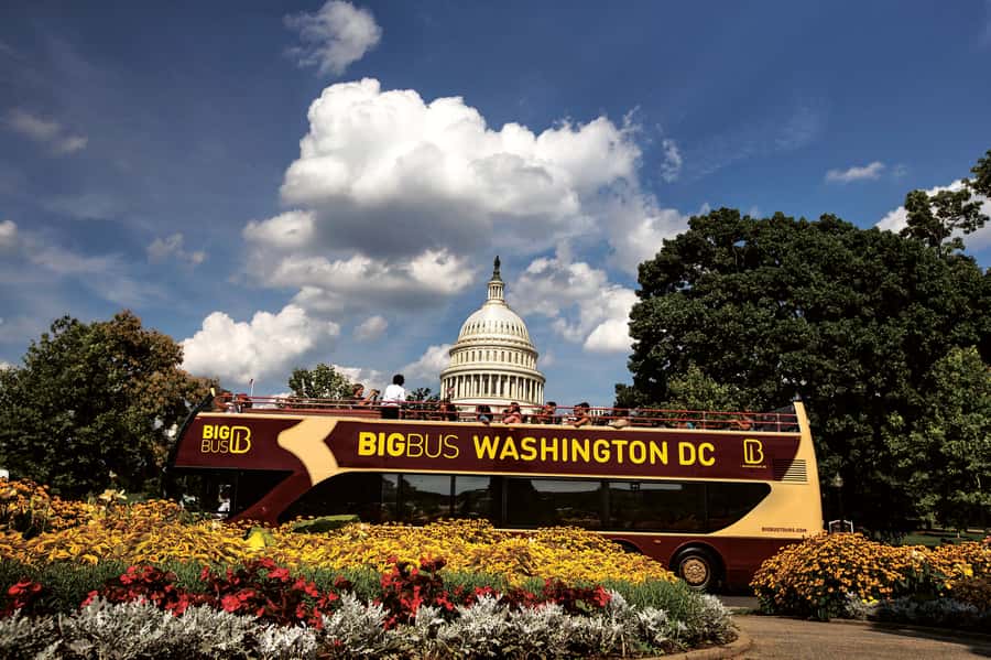 DC: Hop-on Hop-off, Arlington Walking Tour, and Night Tour - Arlington National Cemetery at 1 PM