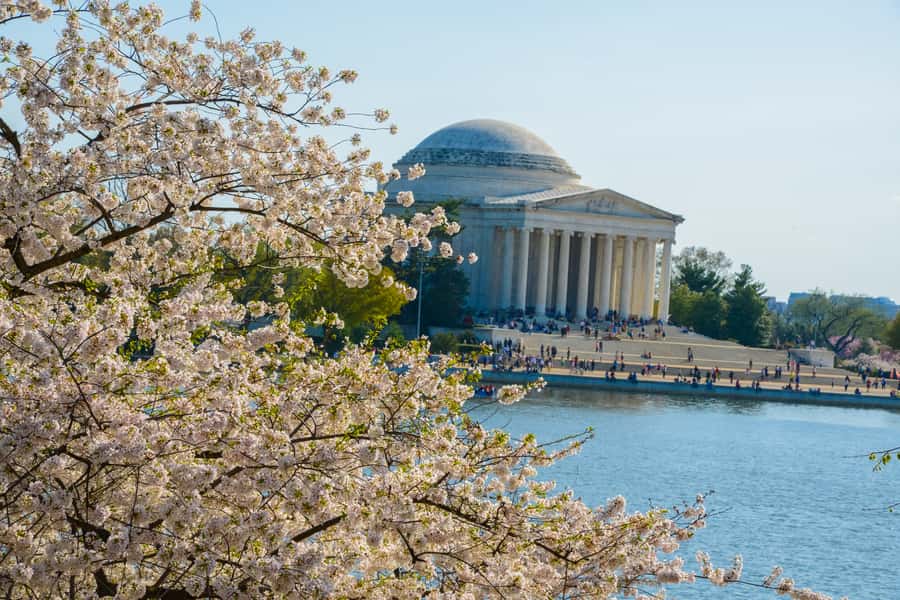 DC: Hop-on Hop-off, Arlington Walking Tour, and Night Tour - Should you book this DC combination?