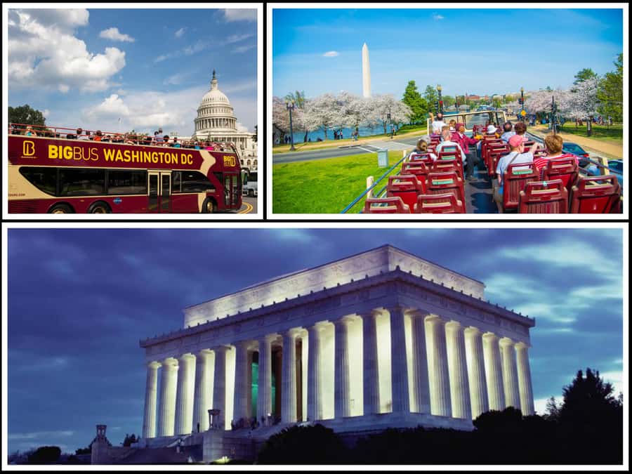 DC: Hop-on Hop-off, Arlington Walking Tour, and Night Tour - What the bus pass is really worth