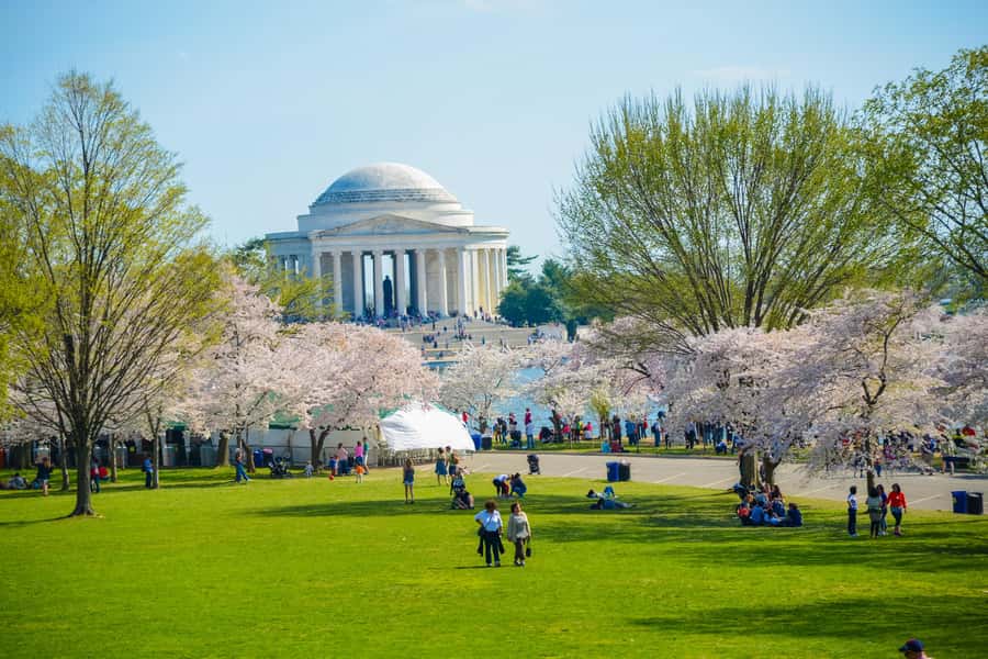 DC: Hop-On Hop-Off with 17 Stops plus Arlington Walking Tour - White House, Capitol Hill, and the museums