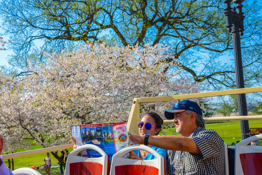 DC: Hop-On Hop-Off with 17 Stops plus Arlington Walking Tour - How to plan two or three days