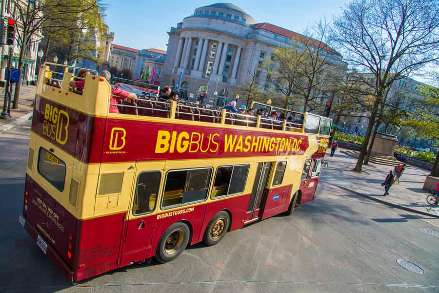 DC: Hop-On Hop-Off with 17 Stops plus Arlington Walking Tour - What the staff and commentary are like
