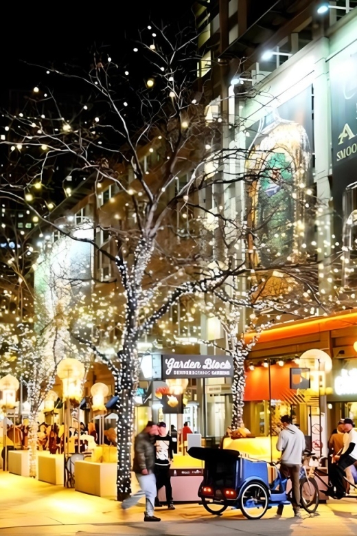 Denver: Holiday Lights & Sights Bus Tour - A two-hour tour through Denver after dark