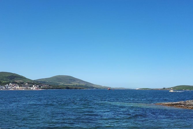 Dingle Peninsula & Slea Head - Private Mini Bus Tour - Gallarus Oratory, the stone boat