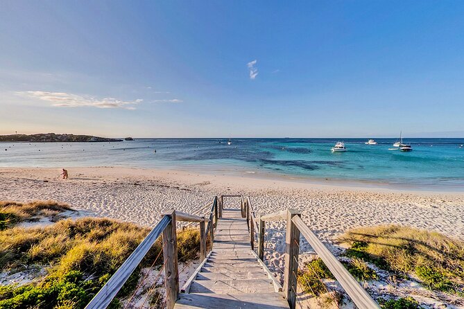 Discover Rottnest with Ferry & Bus Tour - Wadjemup Lighthouse and the island’s story