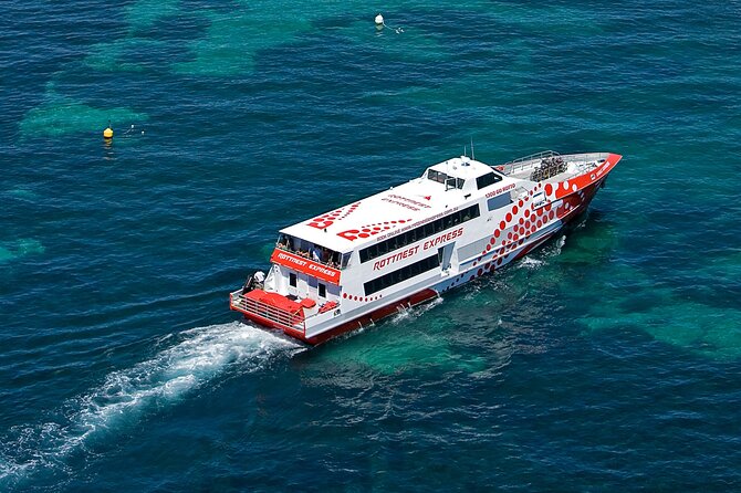 Discover Rottnest with Ferry & Bus Tour - Quokkas are easier to find than you might expect