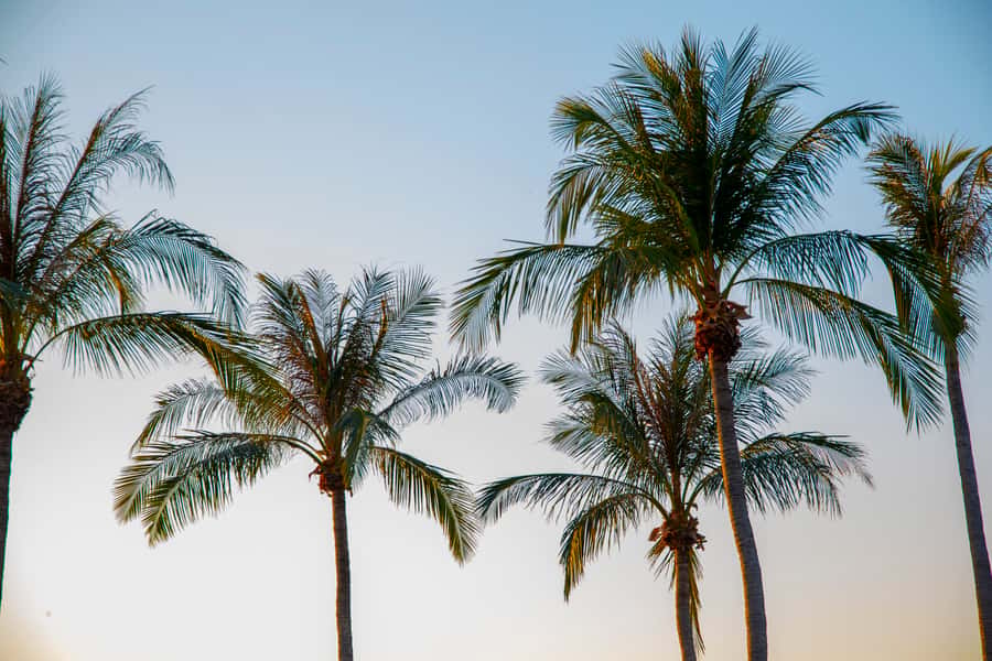 Discover the City of Darwin: Half-Day City Coach Tour - The Museum and Art Gallery of the Northern Territory