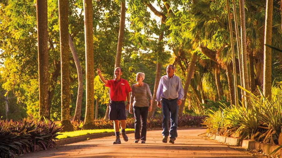 Discover the City of Darwin: Half-Day City Coach Tour - The Botanic Gardens and Chinese Temple