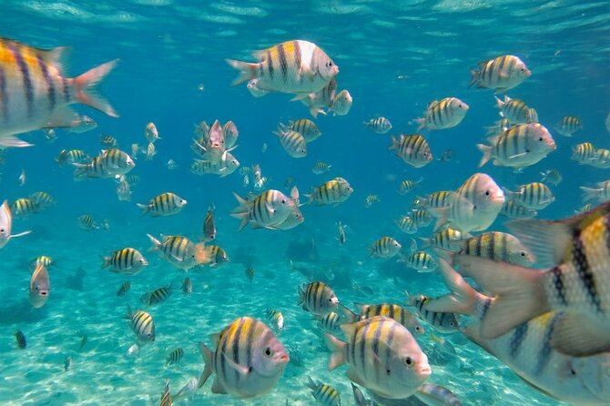 Discovering Isla Mujeres on a Double Decker Catamaran - A full day that mixes snorkeling with a party boat