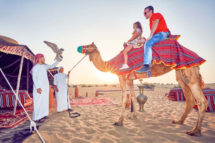 Dubai: Big Bus Hop-On Hop-Off Tour & Optional Dhow Cruise - The staff and the value of practical help