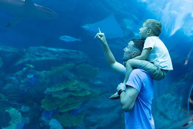 Dubai City Pass: all inclusive Pass with Hop On Hop Off & tours - Atlantis and Aquaventure details to check
