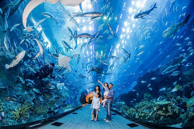 Dubai City Pass: all inclusive Pass with Hop On Hop Off & tours - Active attractions at AYA and iFly Dubai