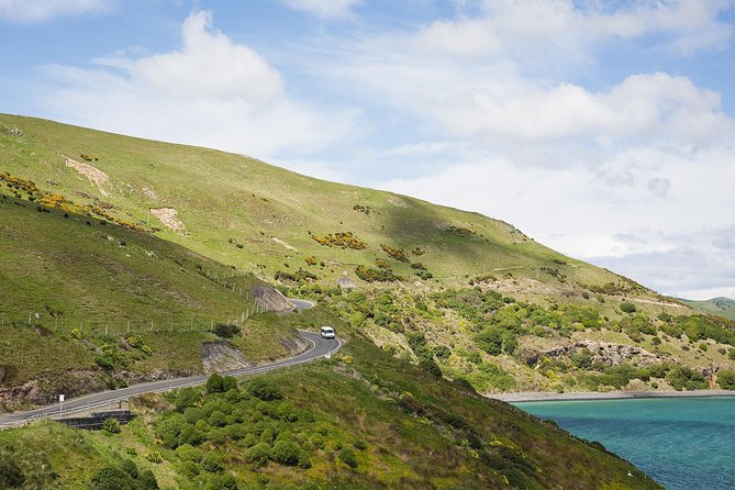 Dunedin City to Sea Wildlife Cruise + Peninsula Bus Tour - The return cruise and the pace of the afternoon