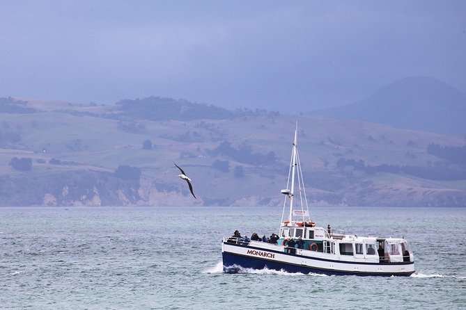 Dunedin City to Sea Wildlife Cruise + Peninsula Bus Tour - Taiaroa Head and the royal albatross colony
