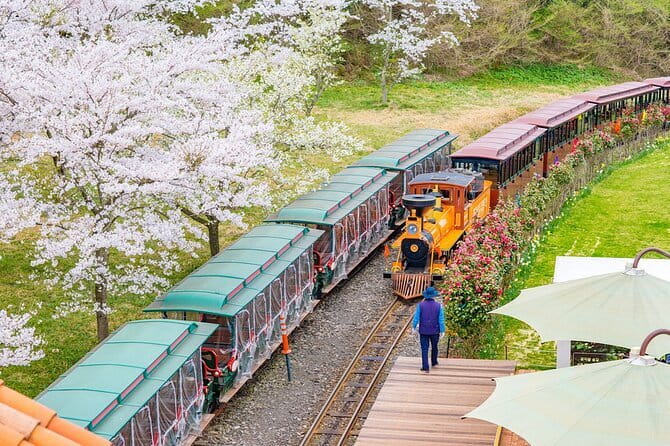 East of Jeju island Bus Tour from Seogwipo city, Jeju island - What the $99 price covers