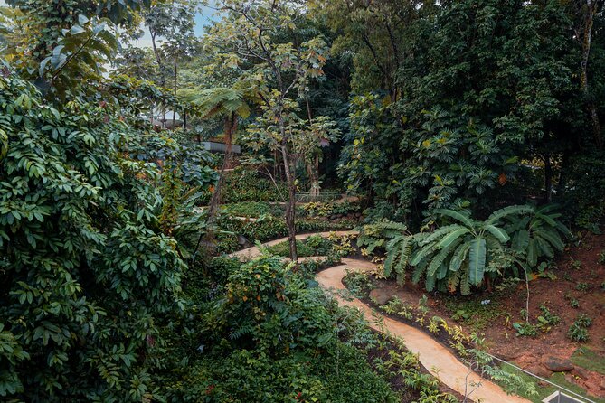 El Yunque Rainforest EZ-going Bus Tour (wheelchair accessible) - Why This El Yunque Tour Works for a Gentle Day Out
