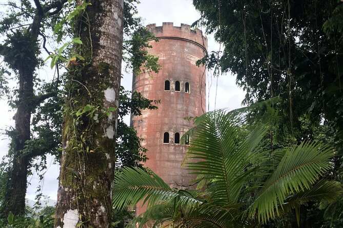 El Yunque Rainforest EZ-going Bus Tour (wheelchair accessible) - La Coca Falls: A Quick Photo Stop