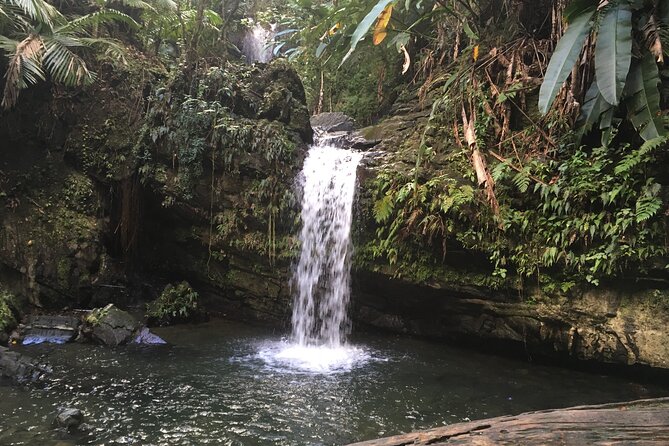 El Yunque Rainforest EZ-going Bus Tour (wheelchair accessible) - Juan Diego Falls and the Optional Short Walk