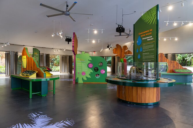 El Yunque Rainforest EZ-going Bus Tour (wheelchair accessible) - One Hour at Luquillo Kiosks