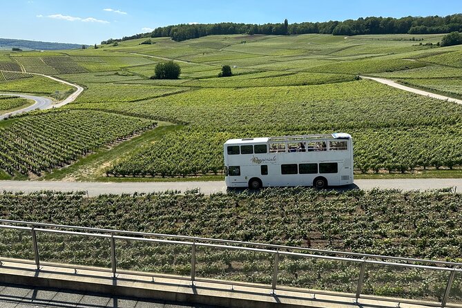 Épernay and Champagne Open-Top Bus Tour with 3 Tastings - What you will taste, and what you will not learn