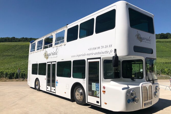 Épernay and Champagne Open-Top Bus Tour with 3 Tastings - Timing, group size, and practical planning