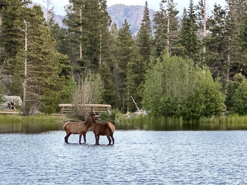 Estes Park: Rocky Mountain National Park Glass-Top Bus Tour - Practical details before you go