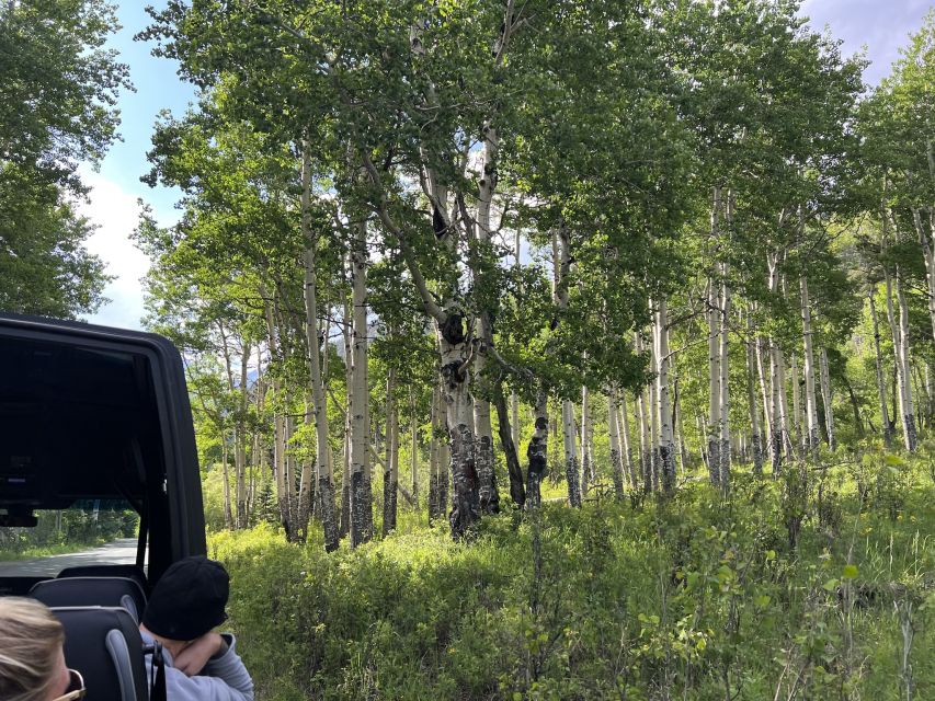 Estes Park: Rocky Mountain National Park Glass-Top Bus Tour - Who should book this experience?
