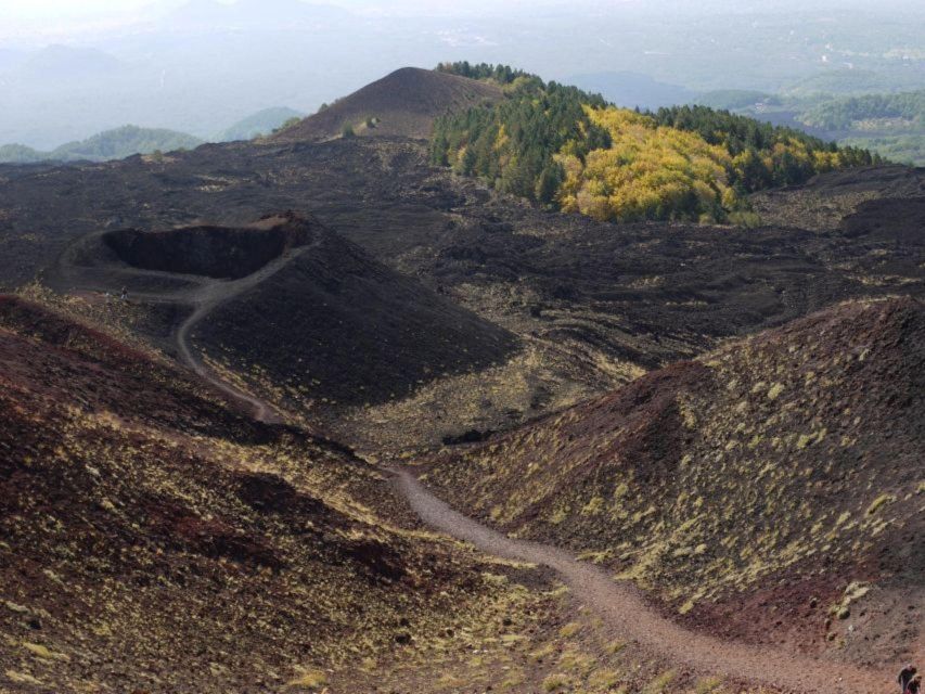 Etna Tour by Panoramic Bus - Who will enjoy this Etna tour most