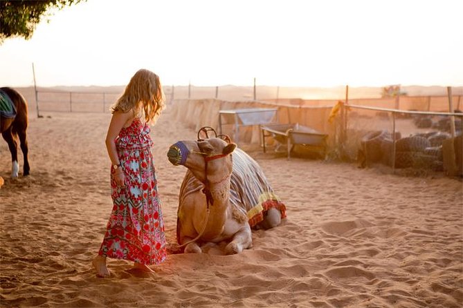 Evening Desert Safari Dubai with BBQ Dinner (Pick Up By Bus) - Key points to know before booking