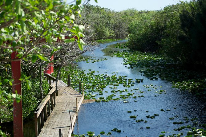 Everglades Airboat, Wildlife Show, and Roundtrip Bus From Miami - How the schedule affects the experience