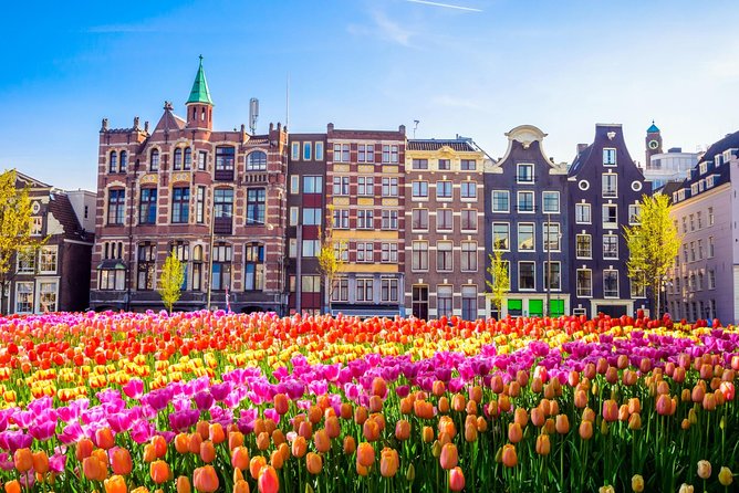 Excursion to Amsterdam by bus from Brussels - What this Brussels to Amsterdam day trip is really like