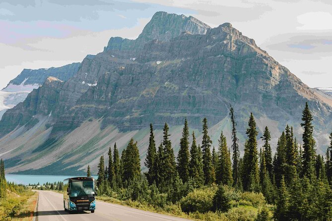Explore Moraine and Louise Roundtrip from Banff Shared Bus Tour - Lake Louise: 45 minutes beside an iconic shore