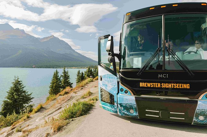Explore Moraine and Louise Roundtrip from Banff Shared Bus Tour - The host can turn a transfer into a lesson