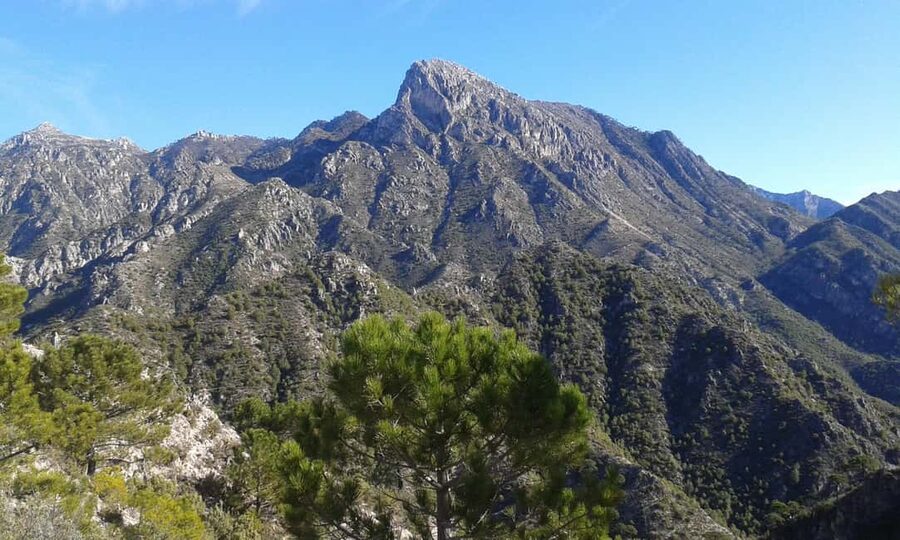 Explore the Nerja National Park nature in our open-top jeeps - Michael’s stories and the multilingual guide team