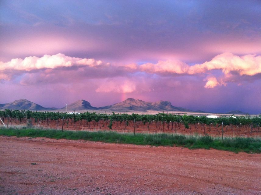 Friday: Tombstone & Bisbee; 9h Tour bus from Tucson - Booking and timing advice