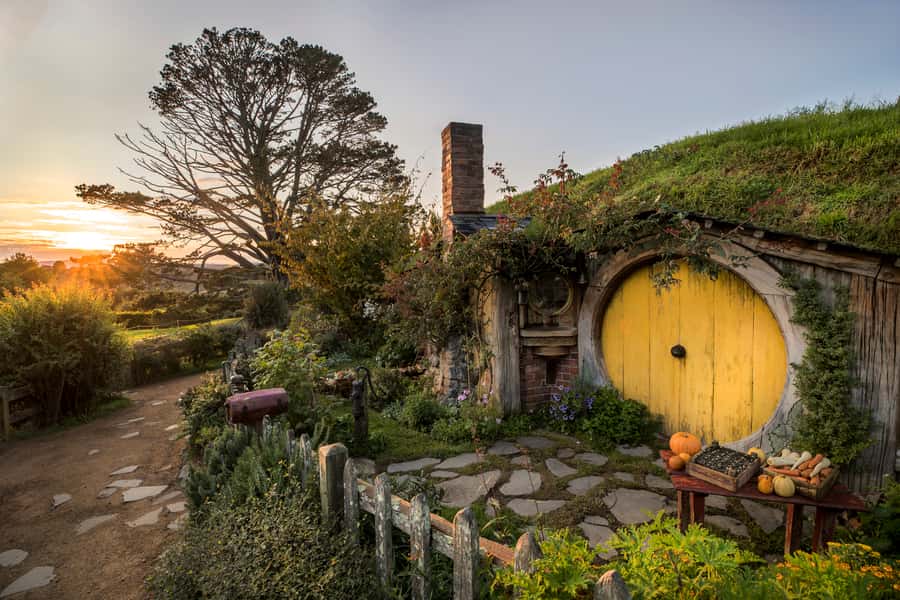 From Auckland: Waitomo & Hobbiton Bus Tour with Lunch - Waitomo Glowworm Caves and the 45-minute underground tour