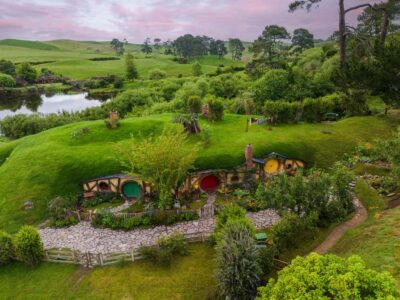 From Auckland: Waitomo & Hobbiton Bus Tour with Lunch