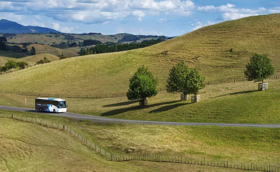 From Auckland: Waitomo & Hobbiton Bus Tour with Lunch - Who will enjoy this day trip most