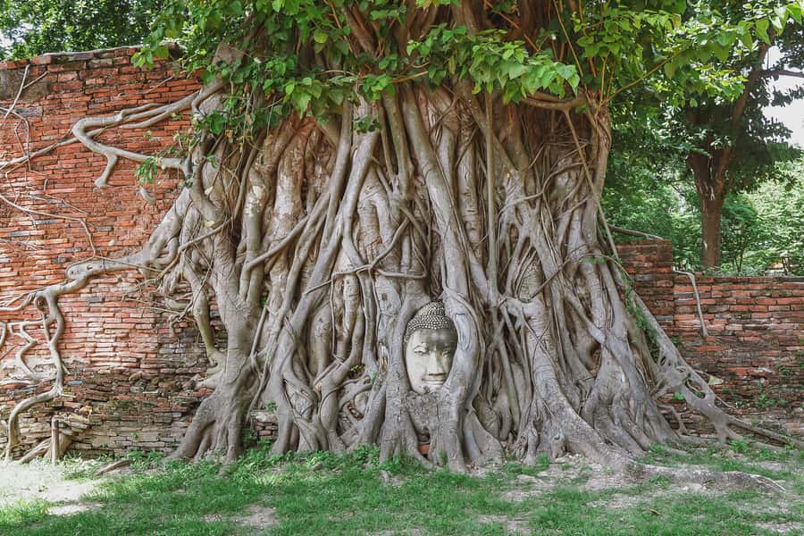 From Bangkok: Ayutthaya Day Tour by Bus with River Cruise - Why the bus and boat combination works