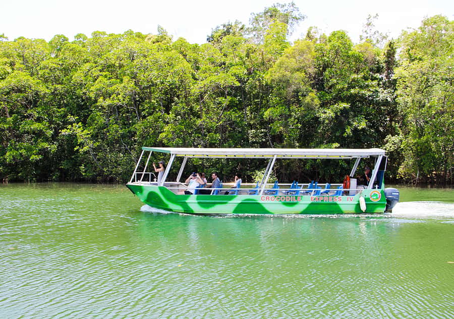From Cairns: Daintree Wilderness & Cape Tribulation Bus Tour - Wildlife Habitat gives you a gentle introduction
