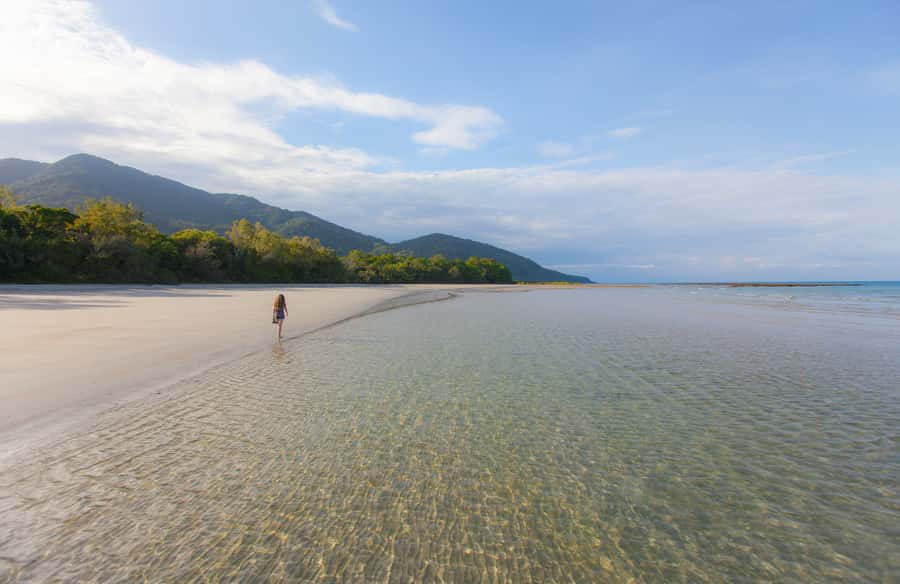 From Cairns: Daintree Wilderness & Cape Tribulation Bus Tour - The rainforest walk rewards a slower pace