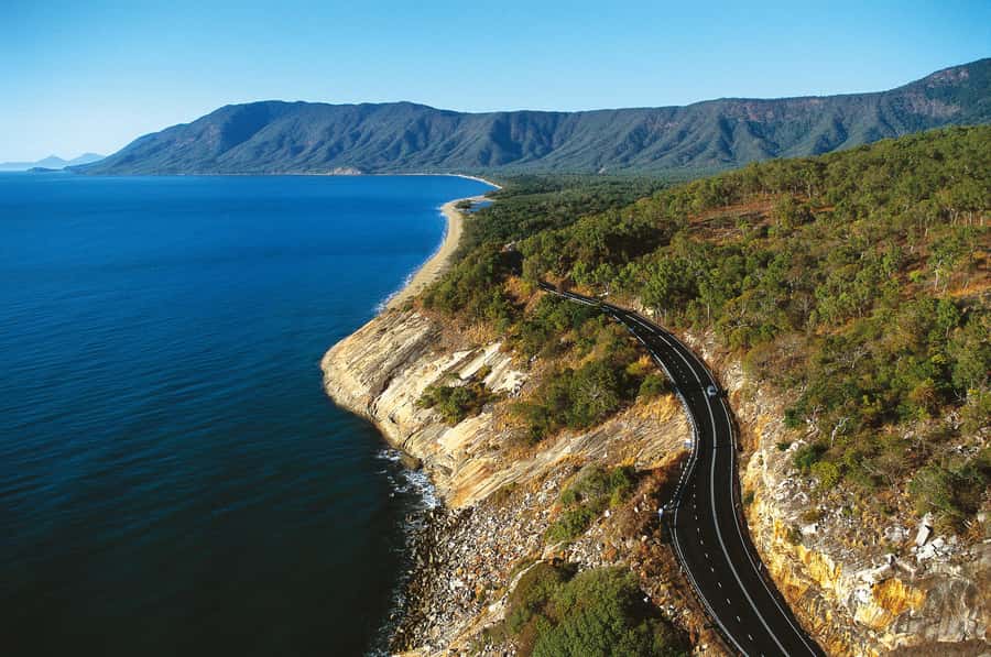 From Cairns: Daintree Wilderness & Cape Tribulation Bus Tour - The Daintree River cruise is the wildlife finale