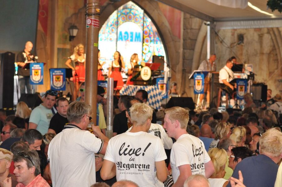 From Can Picafort: Ballermann Night Tour by Bus - Should you book the Ballermann night bus?