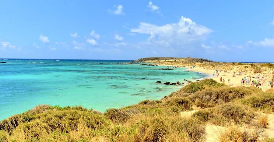From Chania Area: Day Trip to Elafonisi Island by Bus - Key points to know before booking
