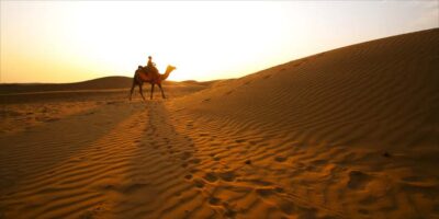 From Doha: Exclusive Monster Bus Safari Experience