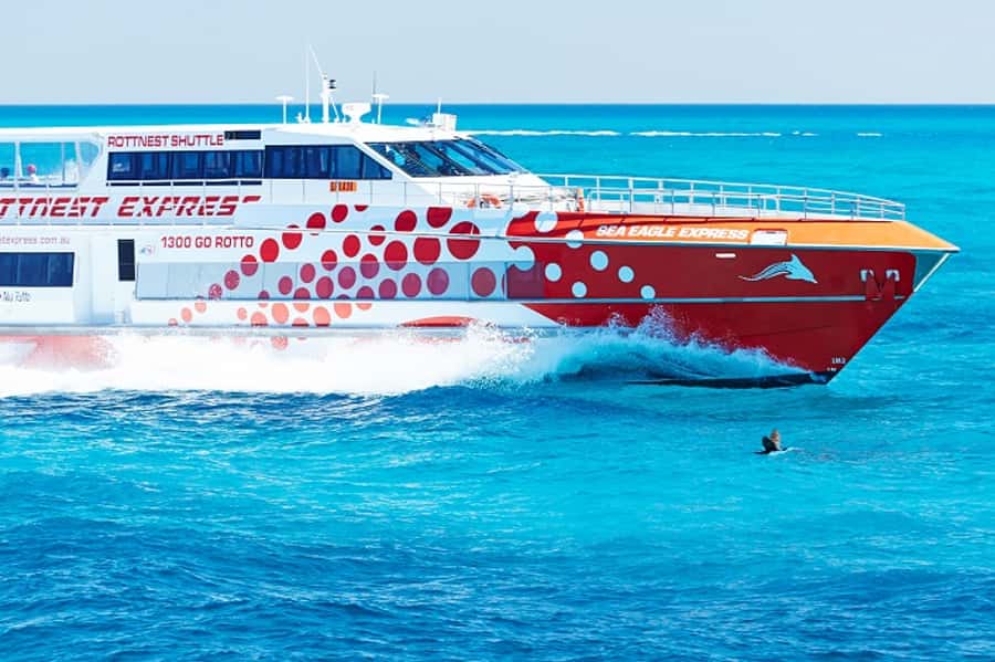 From Fremantle: Rottnest Island Ferry & Bus Day Tour - Key points at a glance