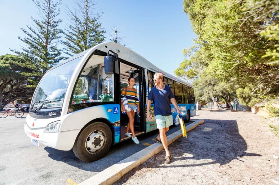 From Fremantle: Rottnest Island Ferry & Bus Day Tour - Why this Rottnest day trip works so well