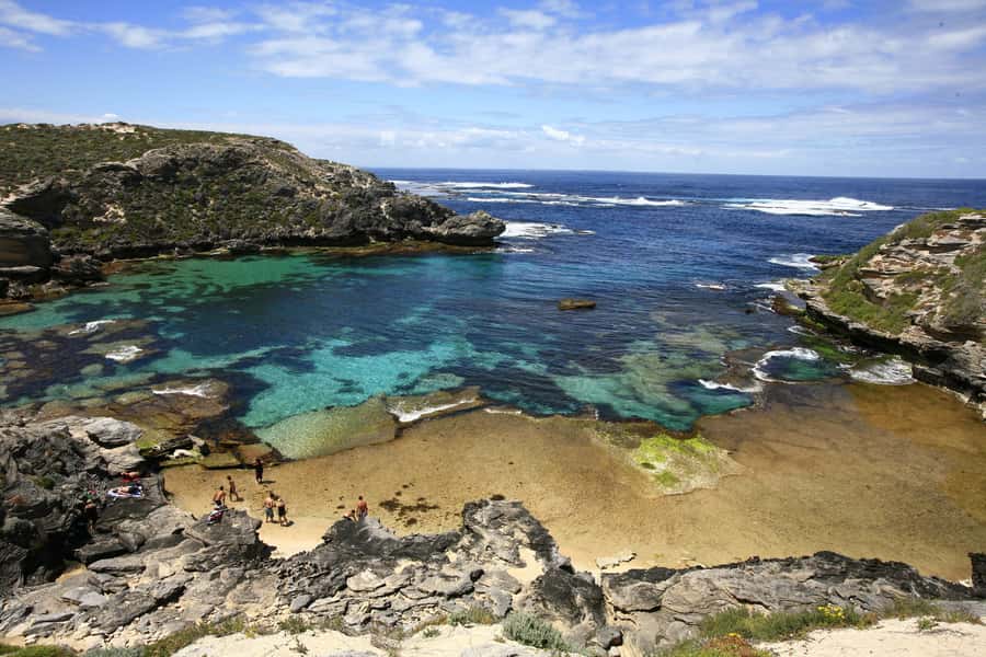 From Fremantle: Rottnest Island Ferry & Bus Day Tour - The 90-minute coach circuit around Rottnest